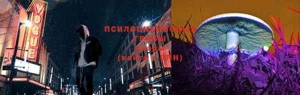 винт Белокуриха