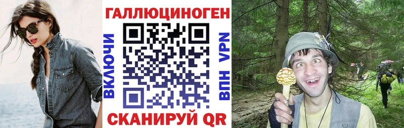 Галлюциногенные грибы Psilocybe  магазин продажи наркотиков  Костерёво 